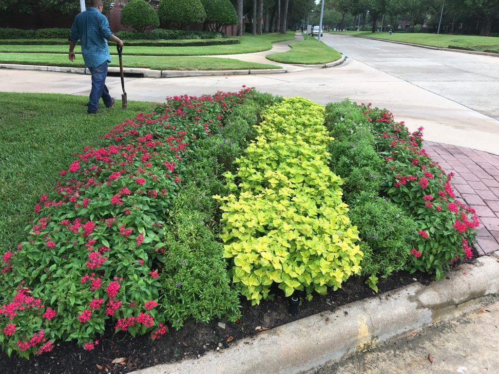 Neighborhood Entrance Flower Beds